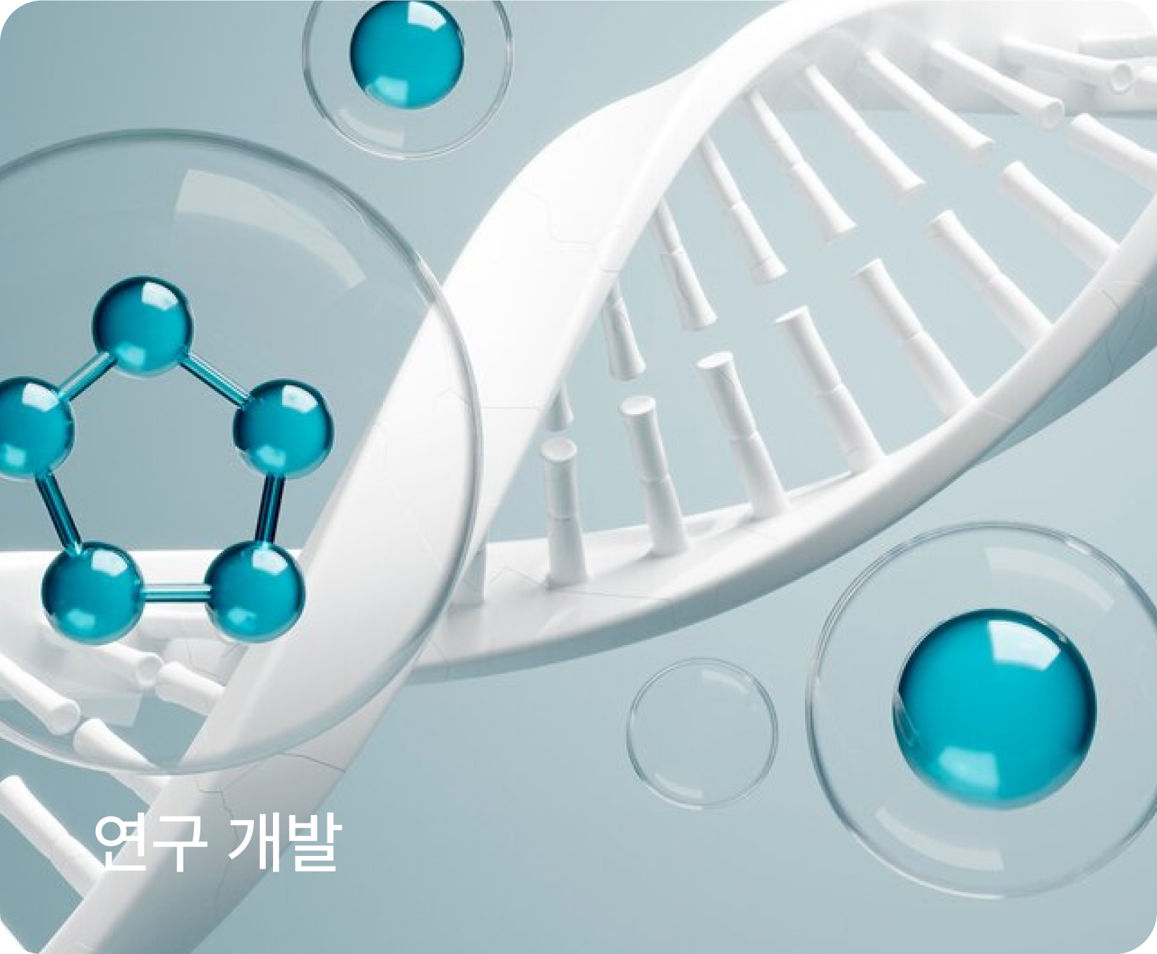 주요 소개 이미지1